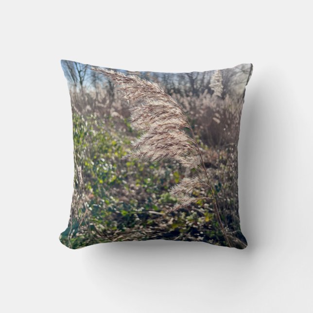 Autumn bliss.. throw pillow (Front)