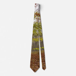 Autumn Bliss Tie