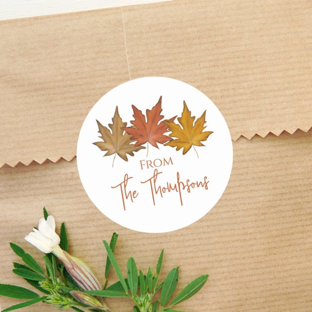 Autumn Botanical Leaves Fall Foliage Elegant  Classic Round Sticker (Creator Uploaded)