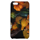 Autumn Bounty Collection