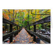 Autumn Bridge (Front Horizontal)