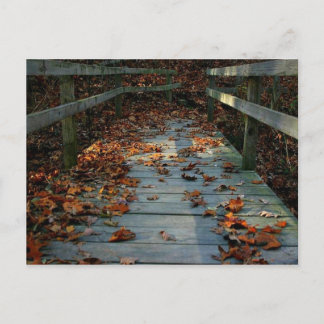 Autumn Bridge Postcard