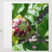 autumn bud (Front/Back)