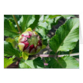 autumn bud (Front Horizontal)