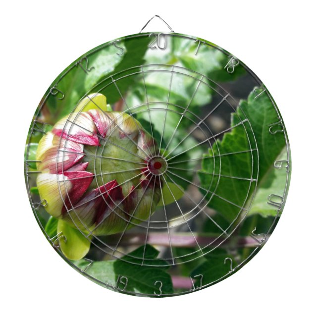 autumn bud dartboard (Front)