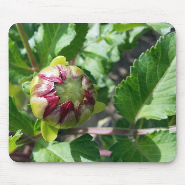 autumn bud mouse pad (Front)