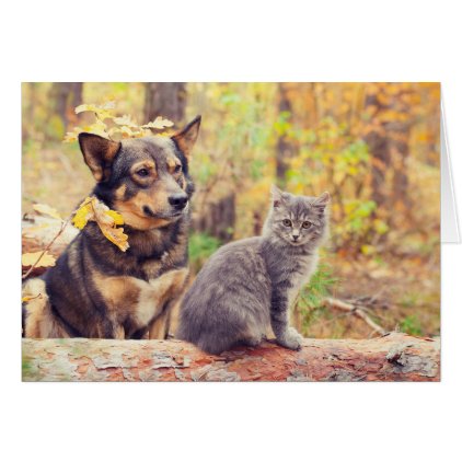 Autumn Buddies: Gray Kitten and Happy Puppy Card