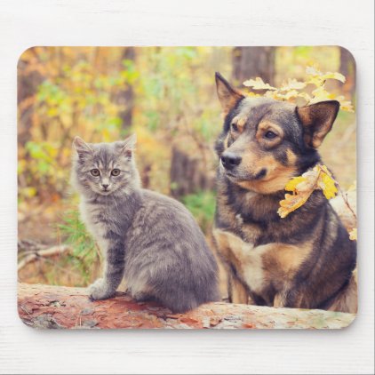 Autumn Buddies: Gray Kitten and Happy Puppy Mouse Pad