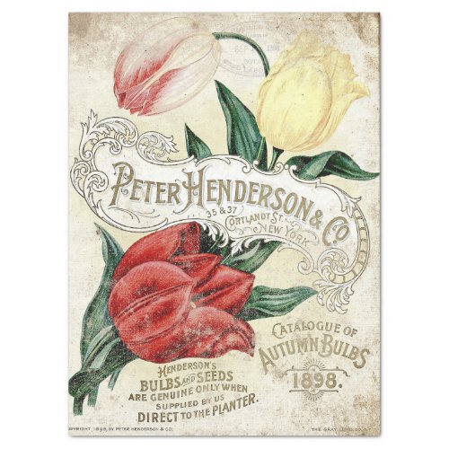 AUTUMN BULBS HENDERSONS  CO 1898 CATALOGUE TISSUE PAPER