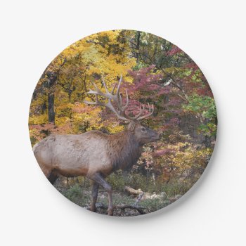 Autumn Bull Elk Paper Plates by WackemArt at Zazzle