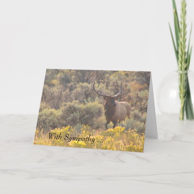 Autumn Bull Elk With Sympathy Custom Card (Front)