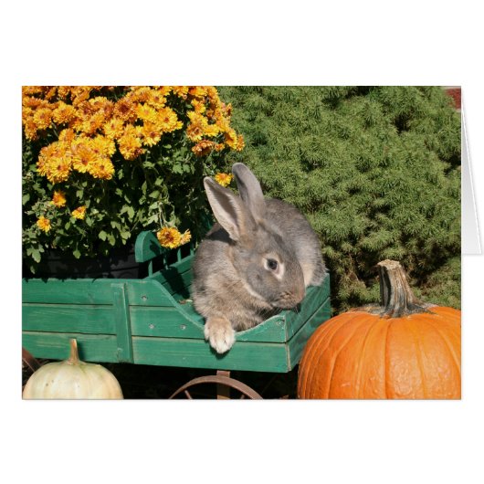 Autumn bunny cards (Front Horizontal)