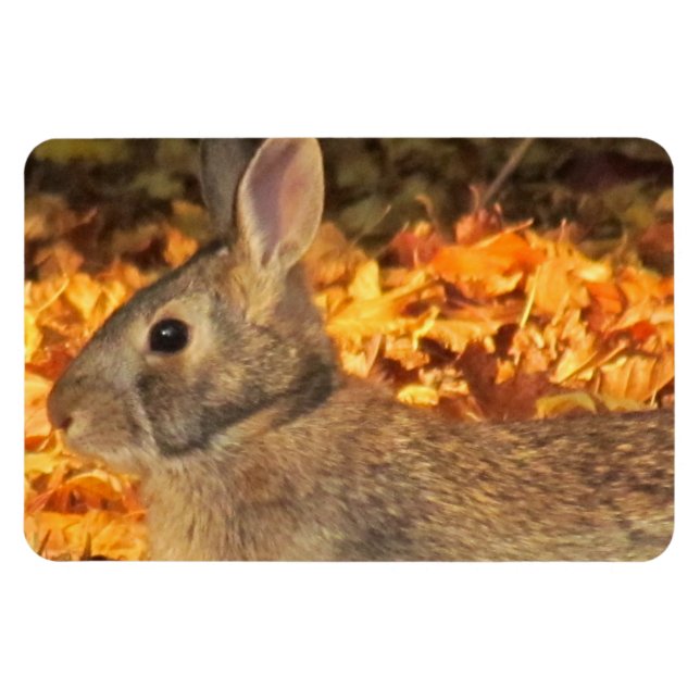 Autumn Bunny Magnet (Horizontal)