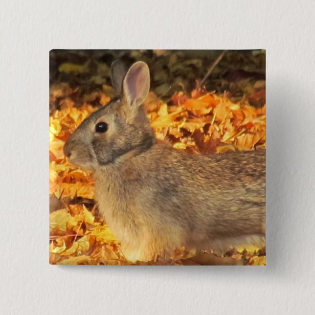 Autumn Bunny Pinback Button (Front)