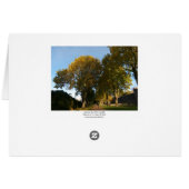 Autumn, Bute Park, Cardiff (Bordered) Cards (Back Horizontal)
