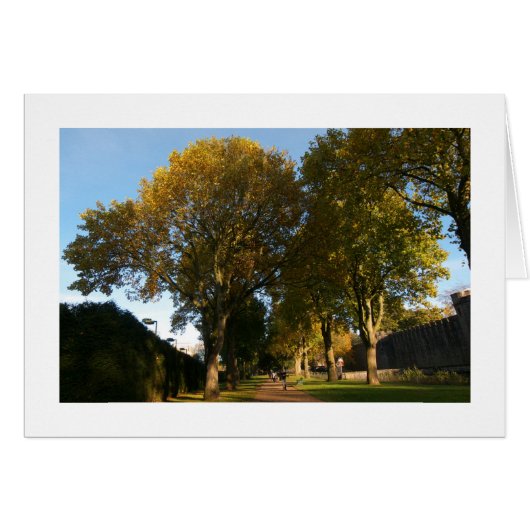 Autumn, Bute Park, Cardiff (Bordered) Cards (Front Horizontal)