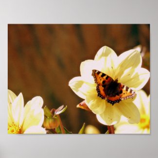 Autumn Butterfly Poster