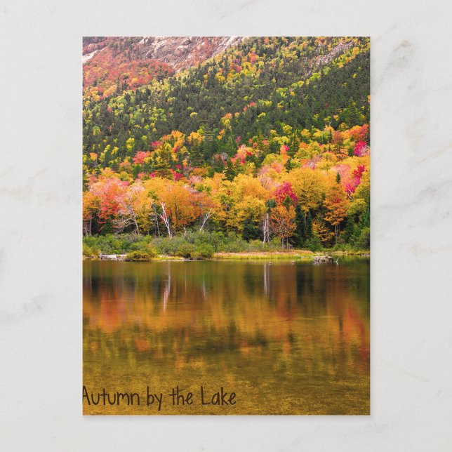 Autumn by the Lake Postcard (Front)