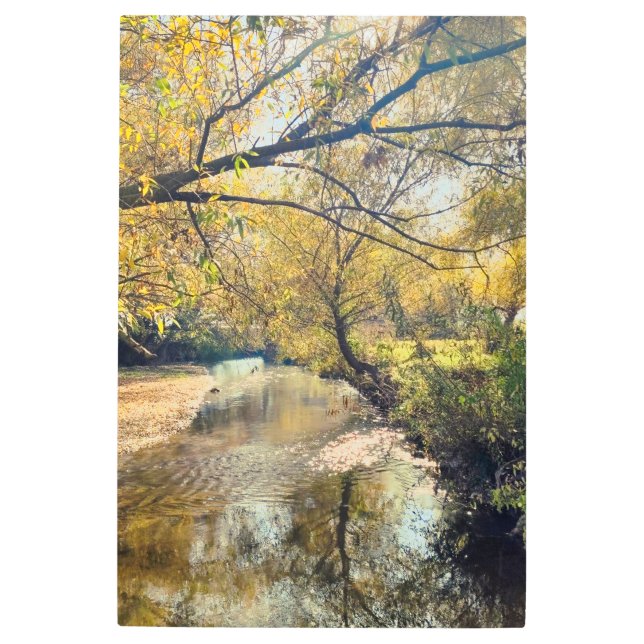 Autumn by the river metal print (Front)