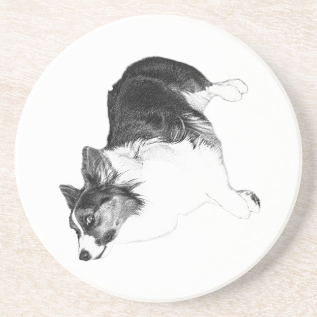 Autumn Calm in Loyal Eyes Coaster (Front)