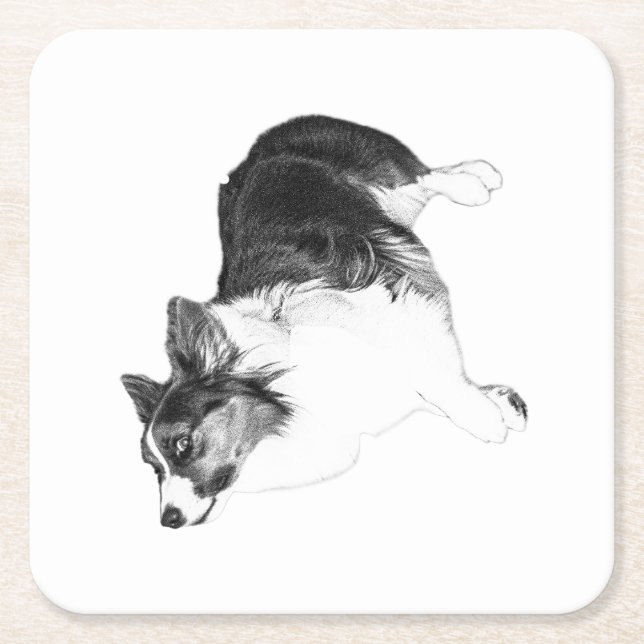 Autumn Calm in Loyal Eyes Square Paper Coaster (Front)