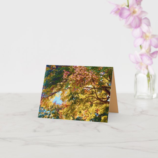 Autumn Canopy Card  (Orchid)