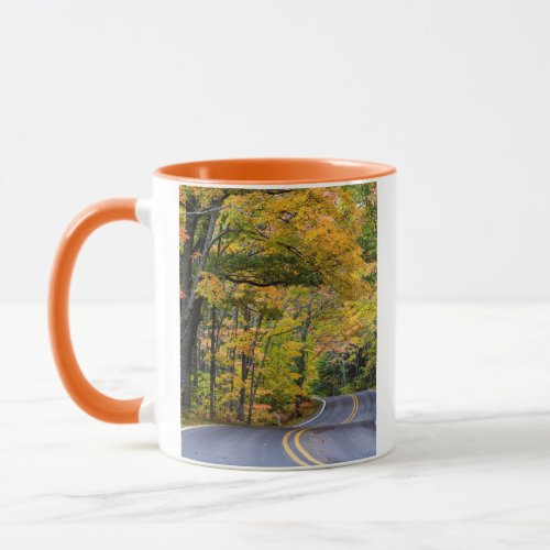 Autumn Canopy Of Color Along Highway 41 Mug