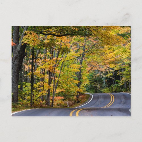 Autumn Canopy Of Color Along Highway 41 Postcard