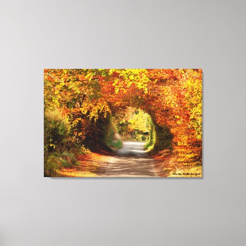 Autumn Canvas Print Yellow Bog Kilcullen