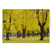 Autumn Card (Front Horizontal)