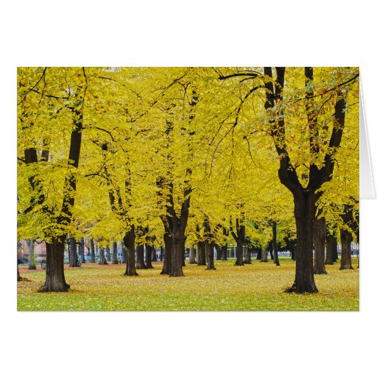 Autumn Card (Front Horizontal)