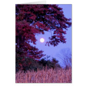 Autumn card with full moon, shingle oak. (Front)