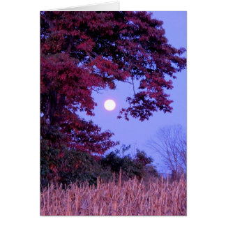 Autumn card with full moon, shingle oak.