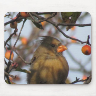 Autumn Cardinal Mouse Pad