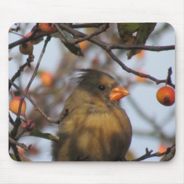 Autumn Cardinal Mouse Pad (Front)
