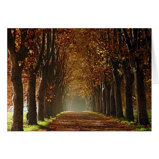 autumn cards (Front Horizontal)