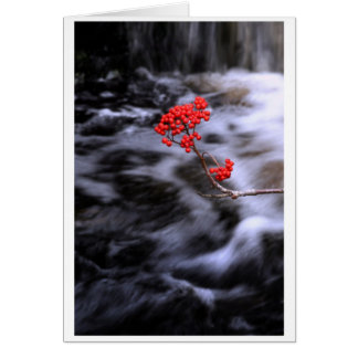 Autumn Cards