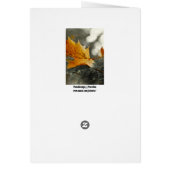 Autumn Cards (Back)