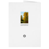 Autumn Cards (Back)