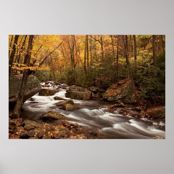 Autumn Cascade    Print