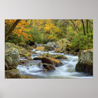 Autumn Cascade Print
