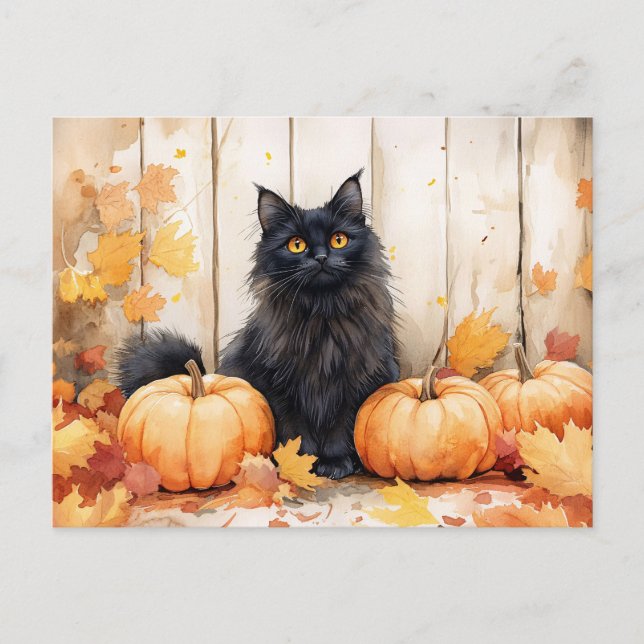 Autumn Cat and Pumpkins Postcard (Front)