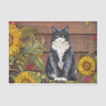 Autumn Cat and Sunflowers on Barn Wood Fall