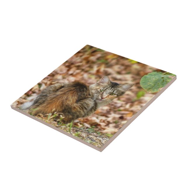Autumn Cat Ceramic Tile (Side)