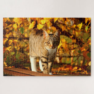 autumn cat puzzle