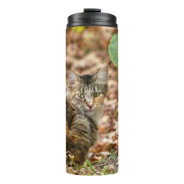 Autumn Cat Thermal Tumbler (Front)