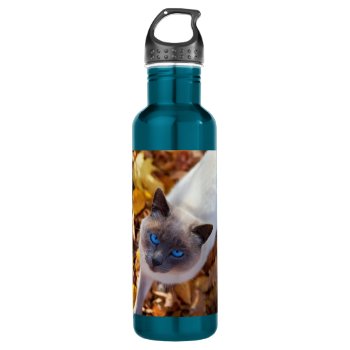 Autumn Cat Water Bottle by bonfirecats at Zazzle