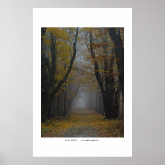 autumn cathedral poster
