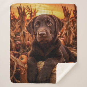 Autumn Chocolate Lab Puppy – Sweet & Cozy Sherpa Blanket