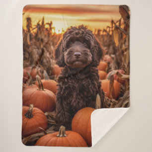 Autumn Chocolate Labradoodle – Cozy & Sweet Sherpa Blanket